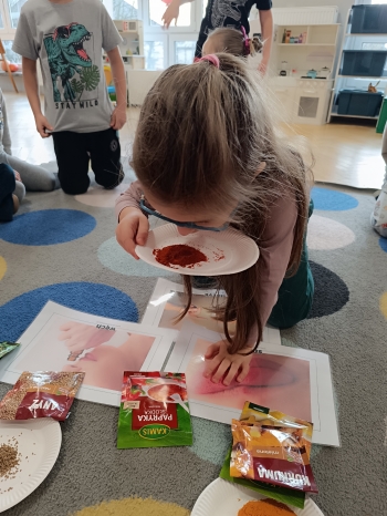 inbound4735293055420085870