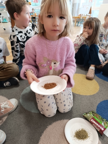 inbound3714888248274774978