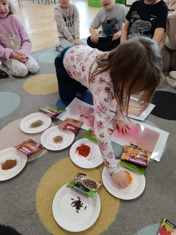 inbound5552424536299849319