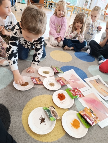 inbound7037188859480021336