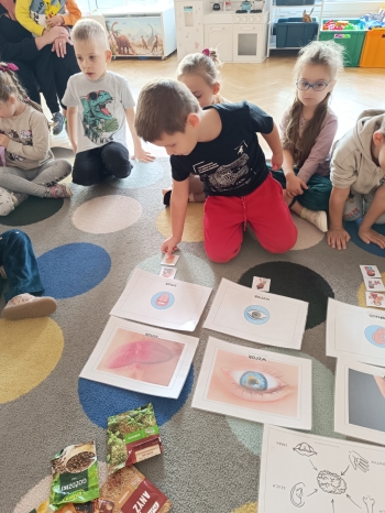 inbound7232496902941914432