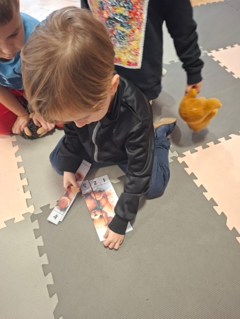 inbound8268515659813728943