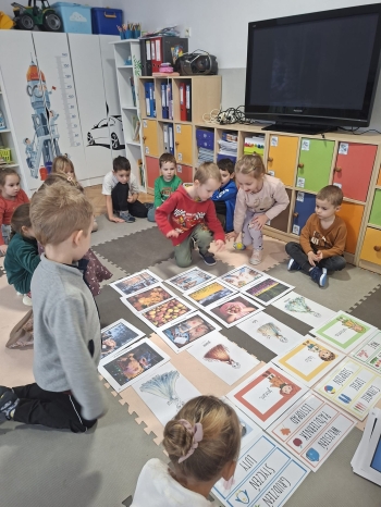 inbound3547189616822697330