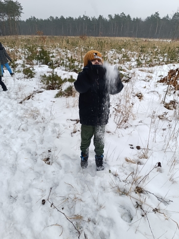 inbound7685593168340511520