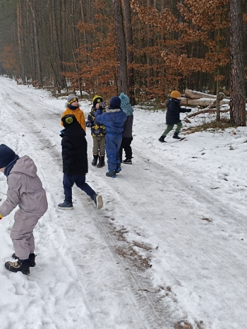 inbound7101455742618055427