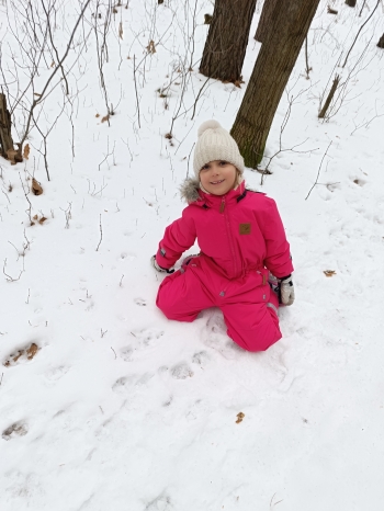 inbound5391539685166534072