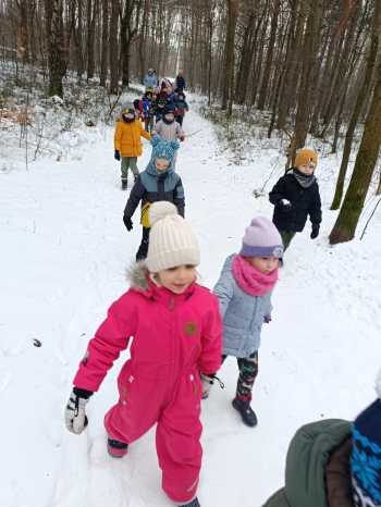 inbound3696536111277775506