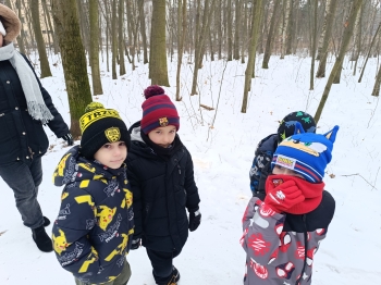 inbound9193885724070743295