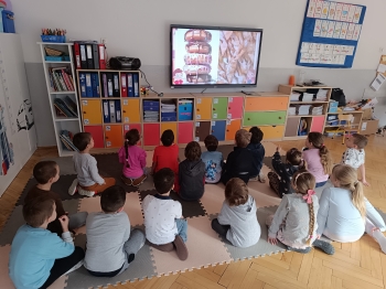 inbound1118272831703065367