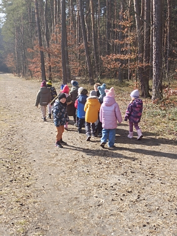 inbound6713830565946227218