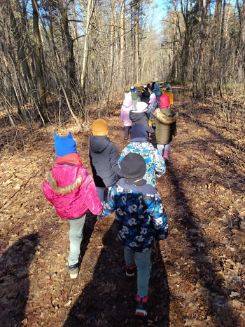 inbound482590419959343233