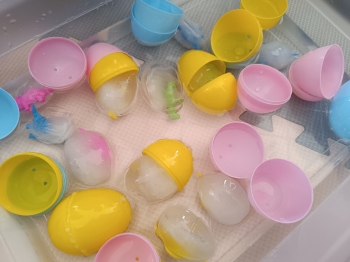 inbound4646114211753984293