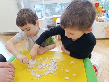 inbound8135823138695049312