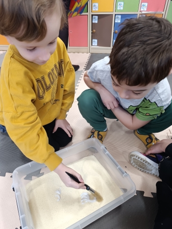 inbound2511836874506862834