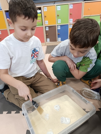 inbound425923572667785105