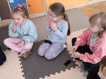 inbound6547572479227025372