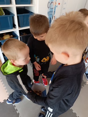 inbound4265969333895997968