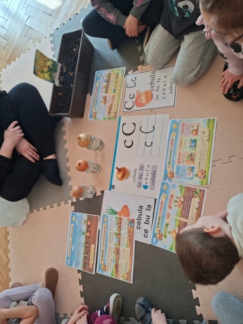 inbound3636205744373243961