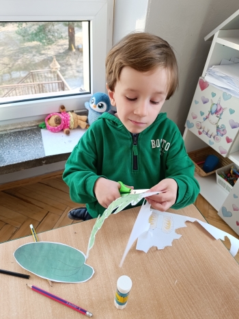 inbound779435158611808480