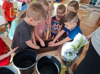 inbound2768487373082454288