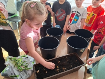 inbound4476096430412419208