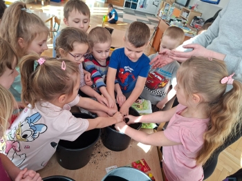 inbound7722110012675623936