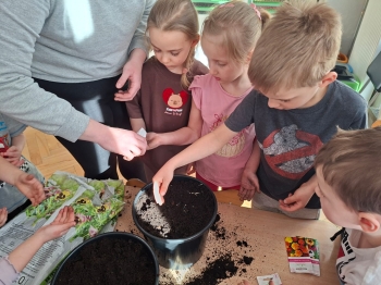 inbound476744011571193961