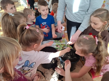 inbound4844386990368452165