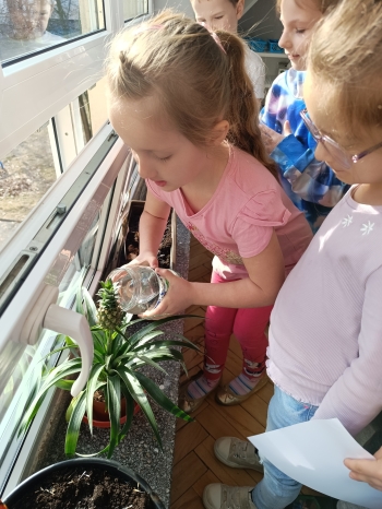 inbound9137312349137284490