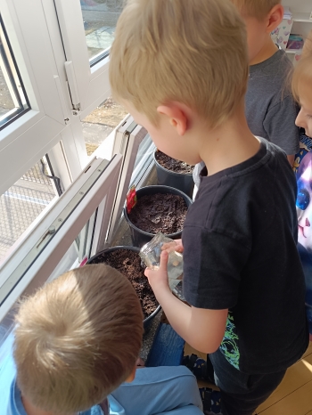 inbound4887979724312524252