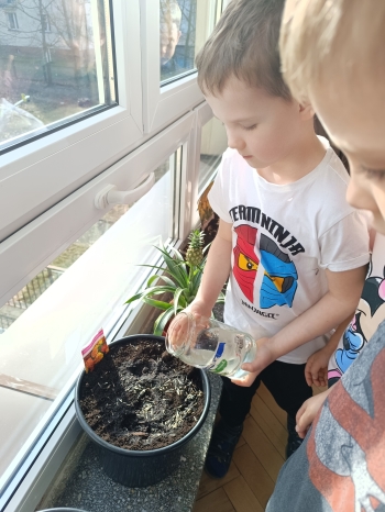 inbound2961969524654689325