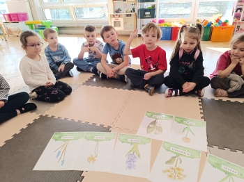 inbound5507049344705637640