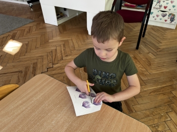 IMG_7738.jpeg