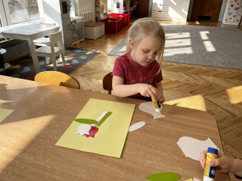IMG_7931.jpeg