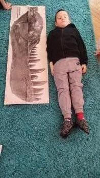 20260304_093646