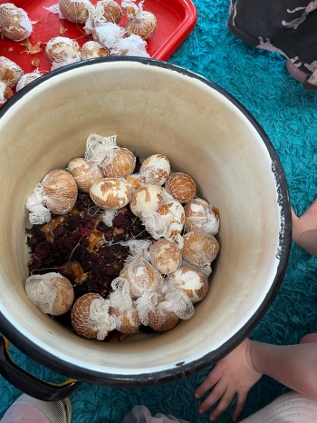IMG-20260401-WA0032