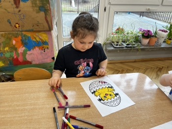 IMG_8777.jpeg