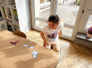 IMG_9237.jpeg