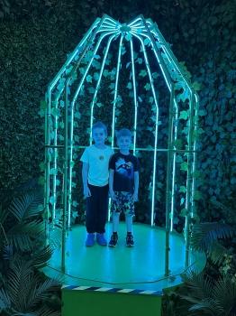IMG_5895.jpeg