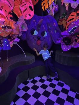 IMG_6087.jpeg