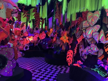 IMG_6095.jpeg