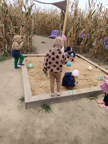 inbound2867911420123668528