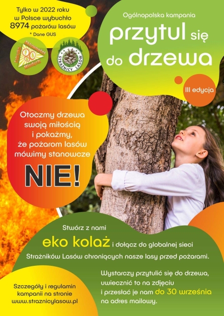 Przytul się do drzewa