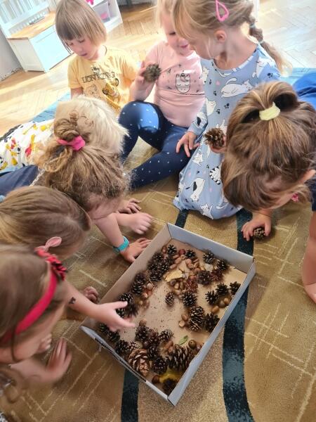 Rozpoczęliśmy realizację ogólnopolskiego projektu edukacyjnego SENSOSMYKI.