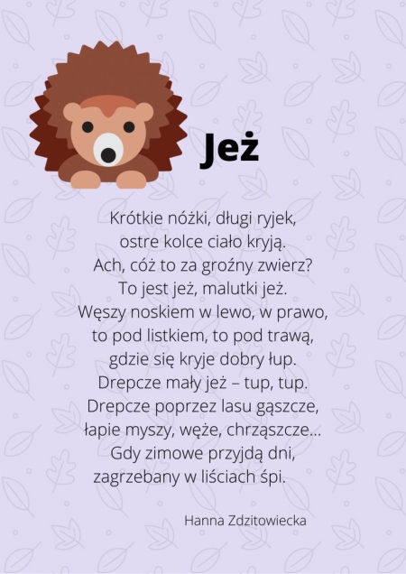 JEŻE SWOJE ŚWIĘTO MAJĄ-  KRASNOLUDKI O NICH PAMIĘTAJĄ