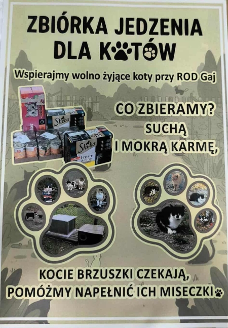 Pomóżmy kotom z ROD „Gaj”!