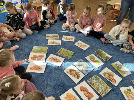 Ogólnopolski Projekt Edukacyjny ,,Na tropie zdrowego odżywiania cz. II''- Moduł 4- orzech